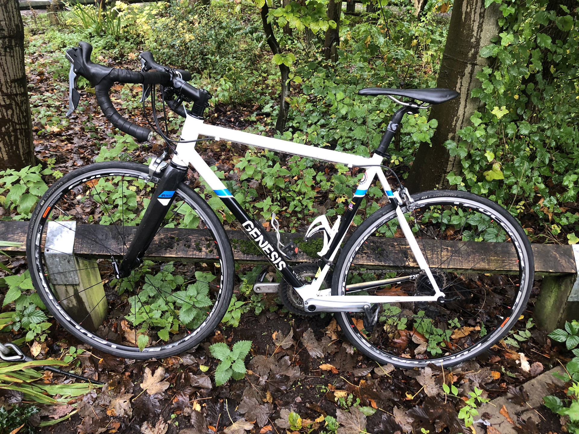 genesis volare